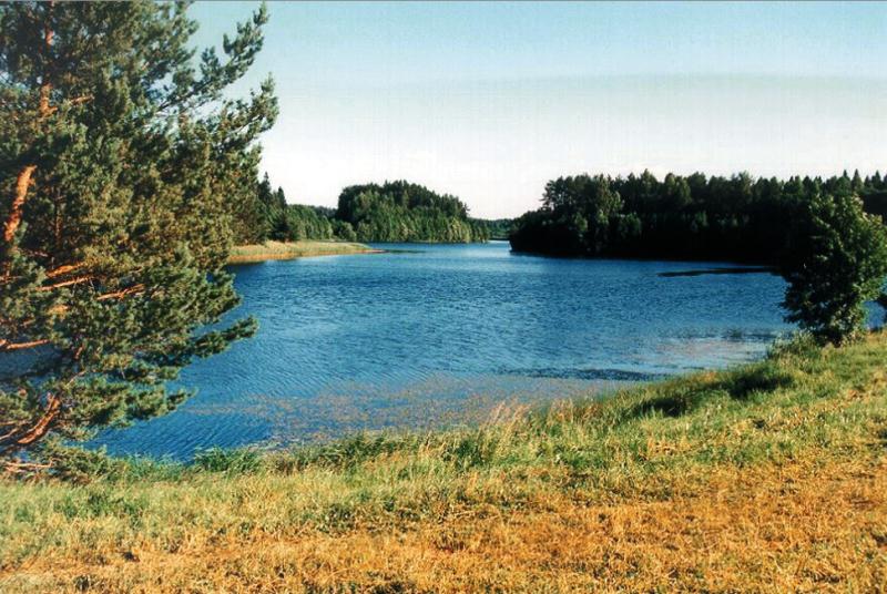 File:Ainja järv.jpg